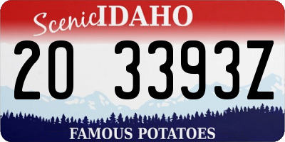 ID license plate 2O3393Z