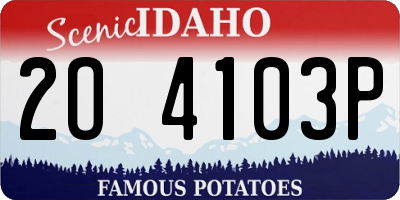 ID license plate 2O4103P