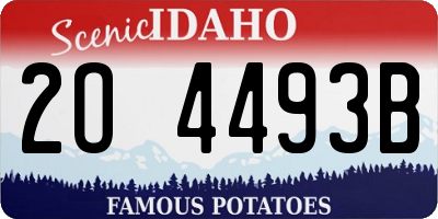 ID license plate 2O4493B