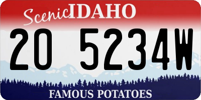 ID license plate 2O5234W