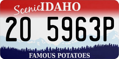 ID license plate 2O5963P