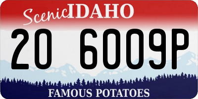 ID license plate 2O6009P
