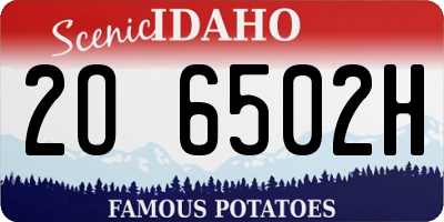 ID license plate 2O6502H
