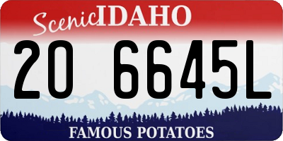 ID license plate 2O6645L