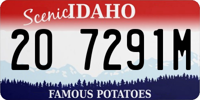 ID license plate 2O7291M