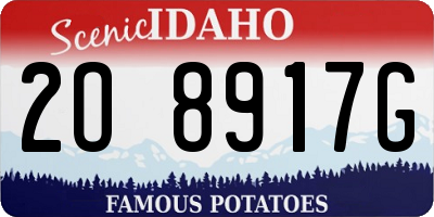 ID license plate 2O8917G