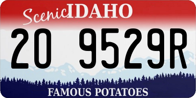 ID license plate 2O9529R