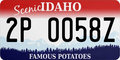 ID license plate 2P0058Z