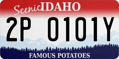 ID license plate 2P0101Y