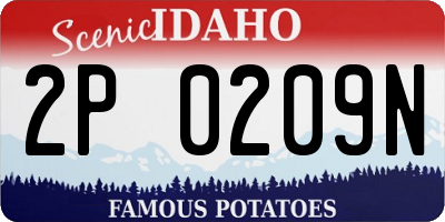 ID license plate 2P0209N