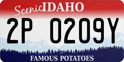 ID license plate 2P0209Y