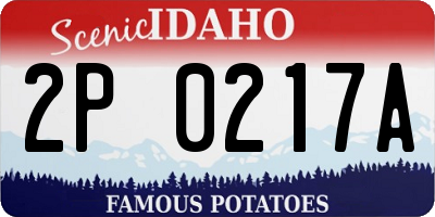 ID license plate 2P0217A