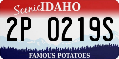 ID license plate 2P0219S
