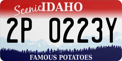 ID license plate 2P0223Y