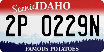 ID license plate 2P0229N