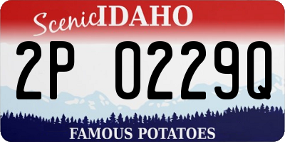 ID license plate 2P0229Q