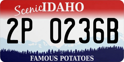ID license plate 2P0236B