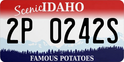 ID license plate 2P0242S