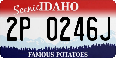 ID license plate 2P0246J