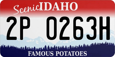 ID license plate 2P0263H