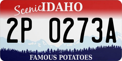 ID license plate 2P0273A