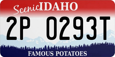 ID license plate 2P0293T