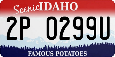 ID license plate 2P0299U