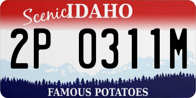 ID license plate 2P0311M