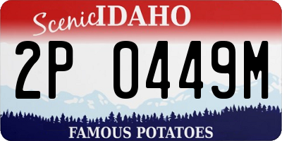 ID license plate 2P0449M