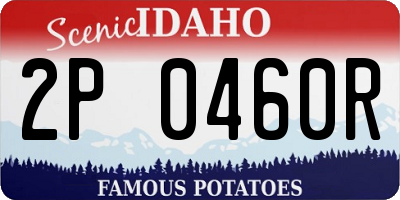 ID license plate 2P0460R