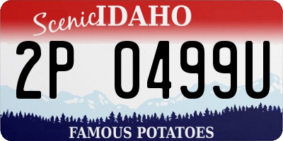 ID license plate 2P0499U