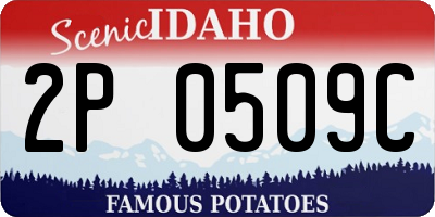 ID license plate 2P0509C