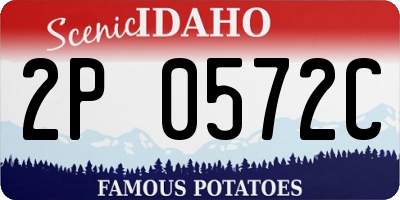 ID license plate 2P0572C