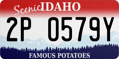 ID license plate 2P0579Y