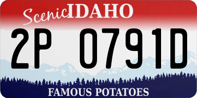 ID license plate 2P0791D