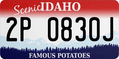 ID license plate 2P0830J