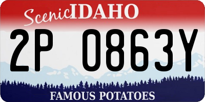 ID license plate 2P0863Y