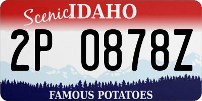 ID license plate 2P0878Z