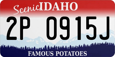 ID license plate 2P0915J
