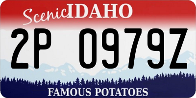 ID license plate 2P0979Z