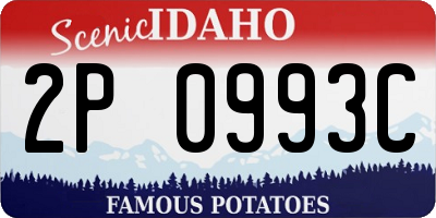 ID license plate 2P0993C
