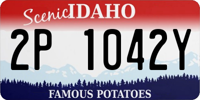 ID license plate 2P1042Y