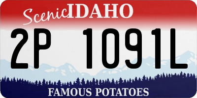 ID license plate 2P1091L