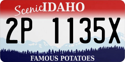 ID license plate 2P1135X