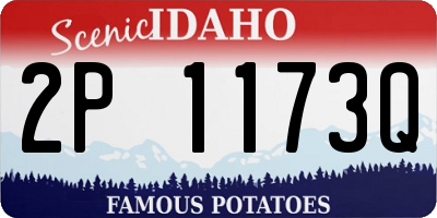 ID license plate 2P1173Q