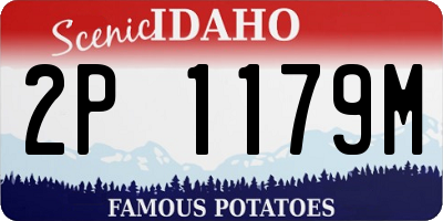 ID license plate 2P1179M