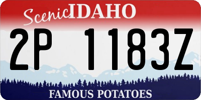 ID license plate 2P1183Z