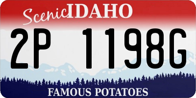 ID license plate 2P1198G