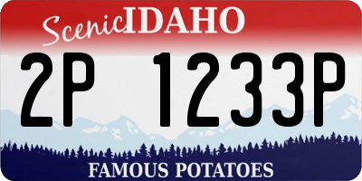 ID license plate 2P1233P