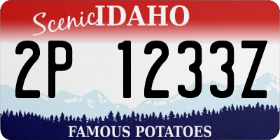 ID license plate 2P1233Z